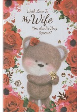 With Love To My Wife You Are So Very Special!